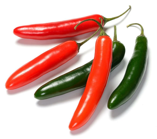 The Living Seed Company Serrano Hot Pepper Seeds - Capsicum annuum