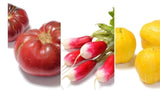 The Living Seed Company Organic Southern Collection, view 2