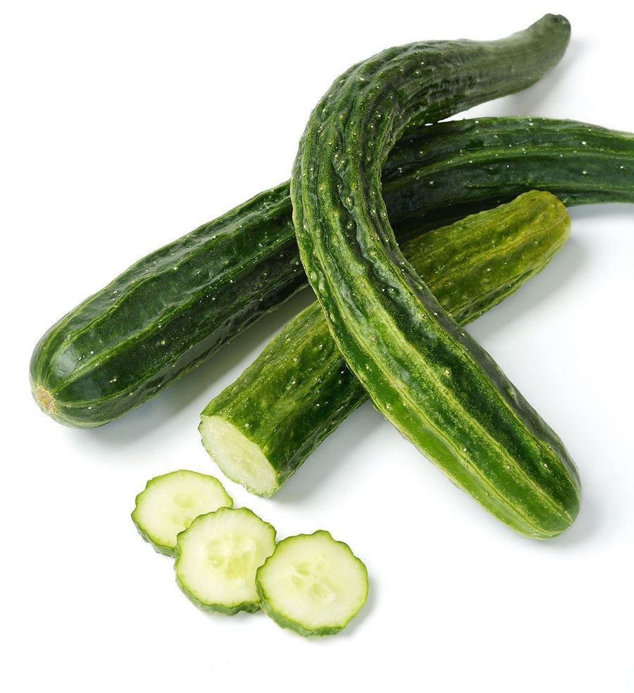 The Living Seed Company Organic Suyo Long Cucumber Seeds - Cucumis sativus