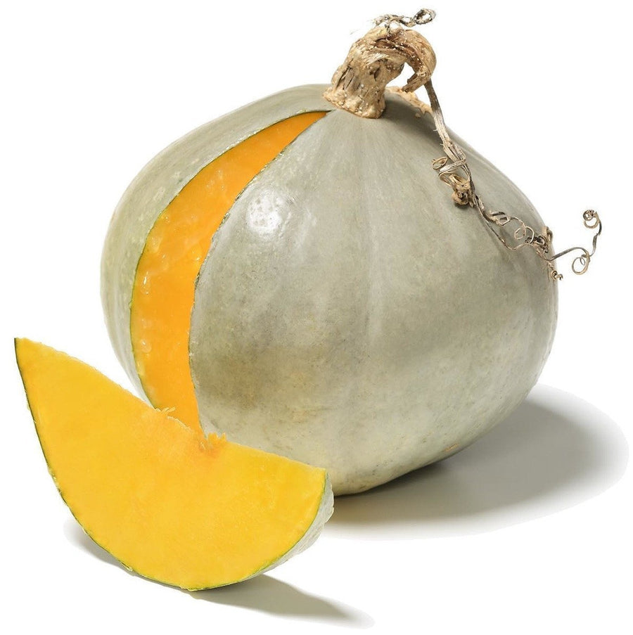 The Living Seed Company Organic Sweet Meat Winter Squash Seeds - Cucurbita maxima