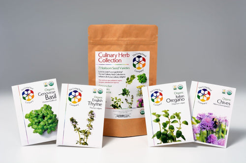 The Living Seed Company Organic Culinary Garden Collection - 7 Variety