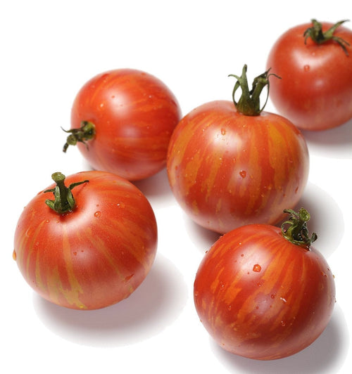 The Living Seed Company Tiger Tomato Seeds - Lycopersicon lycopersicum