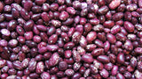 The Living Seed Company Organic, Non-GMO Whipple Bush Bean Seeds, view 2