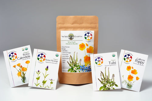 The Living Seed Company Wise Earth Medicine Bundle Medicinal Herb Seed Collection