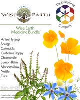 The Living Seed Company Wise Earth Medicine Bundle Medicinal Herb Seed Collection, view 2