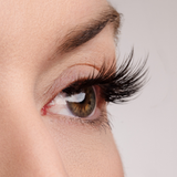 True Beauty Lashes A Touch of Heaven Lash Style & Glue Bundle, view 5