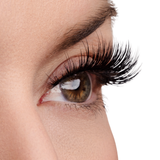True Beauty Lashes Above & Beyond Lash & Glue Bundle, view 5
