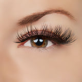 True Beauty Lashes As You Were Saying? Lash Style, view 2