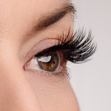 True Beauty Lashes BFF (Best Friend Forever) Lash & Glue Bundle, view 5