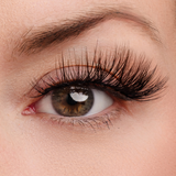 True Beauty Lashes Center of Attention Lash & Glue Bundle, view 4