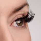 True Beauty Lashes Center of Attention Lash & Glue Bundle, view 5