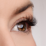 True Beauty Lashes Class Act Lash Style, view 3
