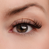 True Beauty Lashes Everyday Beauty Lash Style, view 2