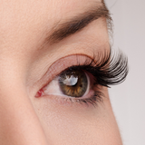 True Beauty Lashes Hold That Thought Half Lash Style, view 3