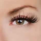 True Beauty Lashes Light up the Room Lash Style, view 2