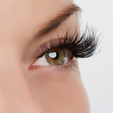 True Beauty Lashes Light up the Room Lash Style, view 3