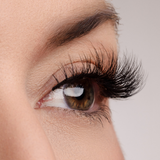 True Beauty Lashes No Filter Needed Lash Style, view 3