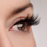 True Beauty Lashes Original Inspo Lash Style, view 3