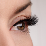 True Beauty Lashes Sexy Classy Lash Style (Magnetic), view 3
