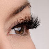 True Beauty Lashes Spoken For Lash Style, view 3