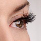 True Beauty Lashes Timeless Beauty Lash Style, view 3
