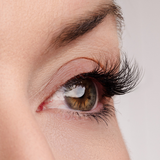 True Beauty Lashes Worth the Wait Half Lash Style, view 3