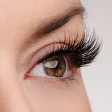 True Beauty Lashes Woman of Worth (WOW!) Lash Style, view 3