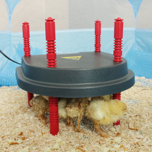 UnitedFarm Hantop Chick Brooder Heating Plate with Comfort Feather - 13 Watts