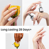 Venalisa Quick Construction Gel 6 Colors Set TPO Free Hema Free, view 6