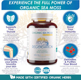 Viva Nutra Regeneration Organic Irish Sea Moss Capsules, view 2