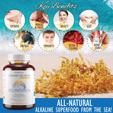 Viva Nutra Regeneration Organic Irish Sea Moss Capsules, view 3