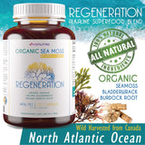 Viva Nutra Regeneration Organic Irish Sea Moss Capsules, view 5