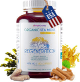 Viva Nutra Regeneration Organic Irish Sea Moss Capsules, view 6