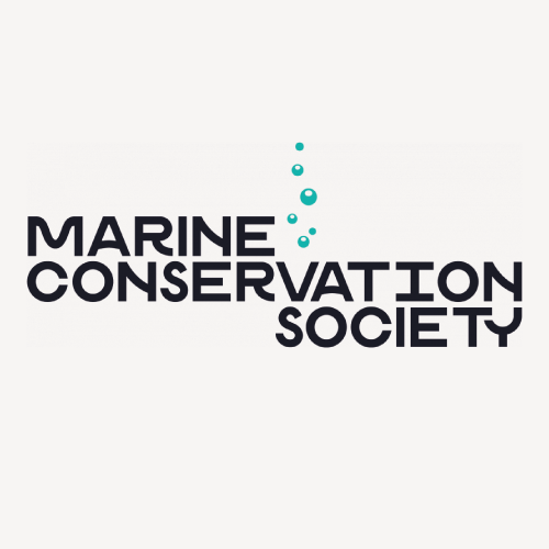 Wild and Stone Donation to Marine Conservation Society
