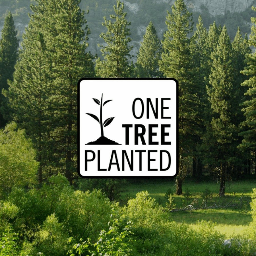 WUBEN Donation of a Tree