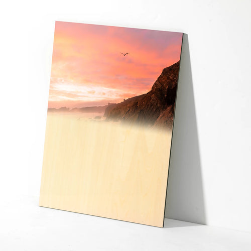 xTool 13/64" Sublimation Plywood (5pcs)