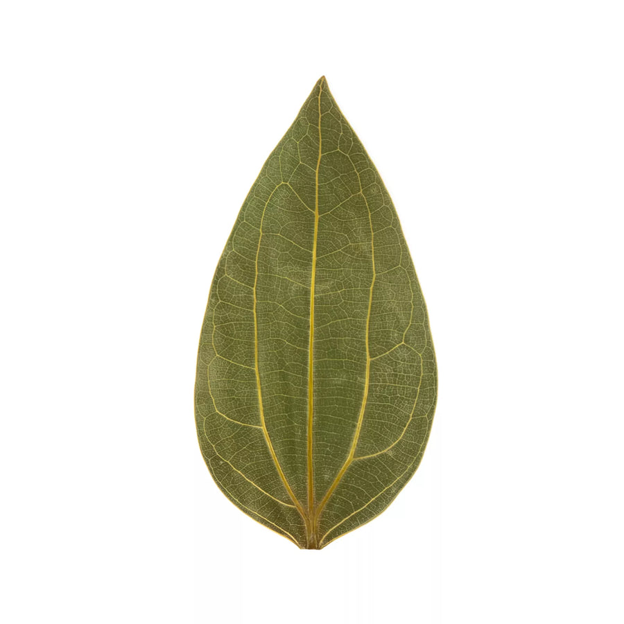 xTool Cinnamon Leaf for Engraving (10pcs)