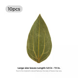 xTool Leaf Engraving Kit (12pcs), view 4