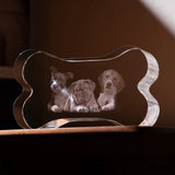 xTool Bone-Shaped K9 Crystal, view 2