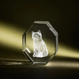 xTool Selected Octagon K9 Crystal, view 2