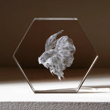 xTool Selected Hexagon K9 Crystal, view 2