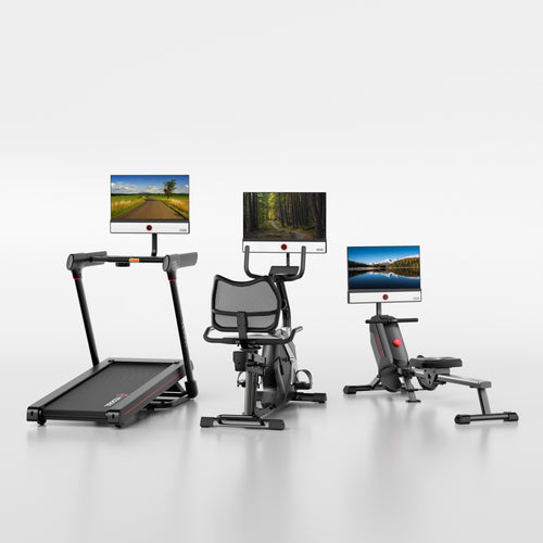 YESOUL Family Home Gym Wellness: Run-Row-Recumbent 3R Bundle