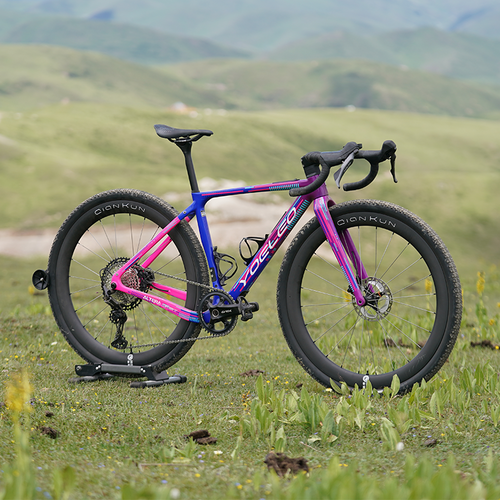 YOELEO Altera G21 DB Gravel Bike Frameset Panda Purple