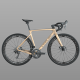 YOELEO G21 DB PRO Gravel Bike, view 2