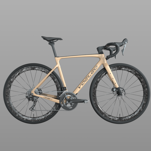 YOELEO G21 DB STD Gravel Bike