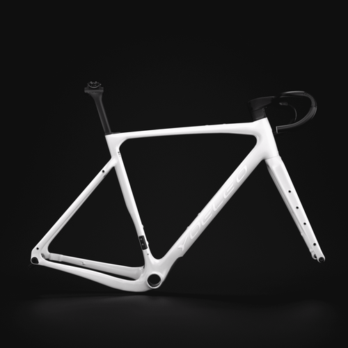 YOELEO G21 FRAME SET CUSTOM PAINT Service (CLASSIC)