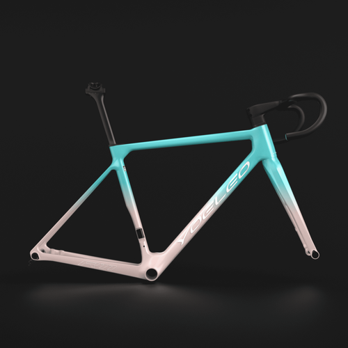YOELEO R11 FRAME SET CUSTOM PAINT Service(FADED)