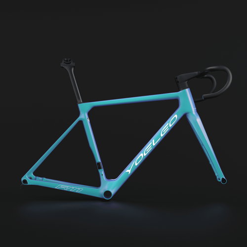 YOELEO R11 FRAME SET CUSTOM PAINT Service(CLASSIC)