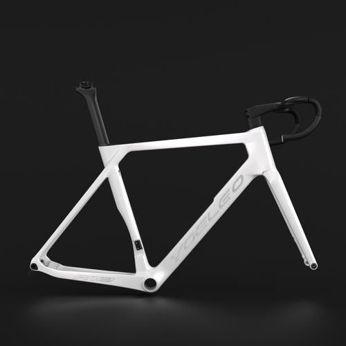 YOELEO R12 FRAME SET CUSTOM PAINT Service Classic