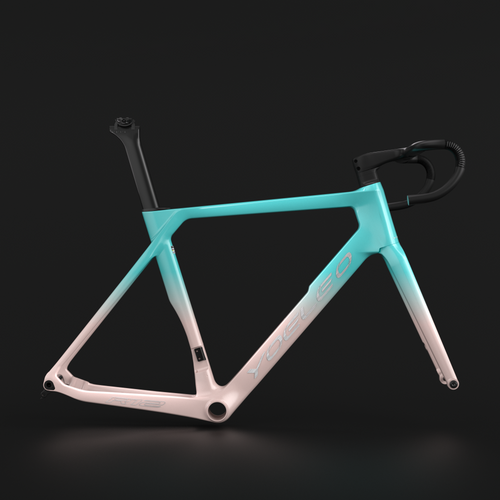 YOELEO R12 FRAME SET CUSTOM PAINT Service (FADED)